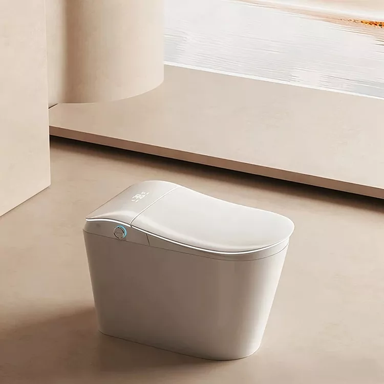 Intelligente Toilette mit integriertem Wasserfilter und Fußspülung